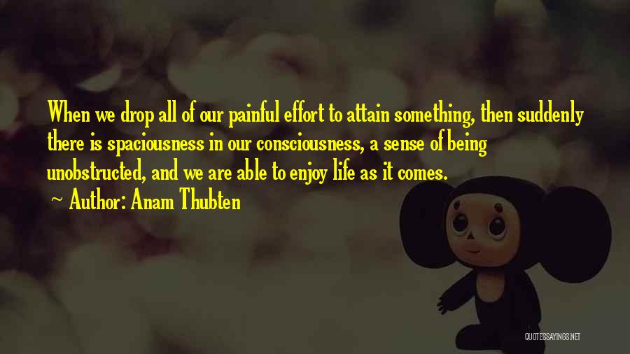 Anam Thubten Quotes: When We Drop All Of Our Painful Effort To Attain Something, Then Suddenly There Is Spaciousness In Our Consciousness, A