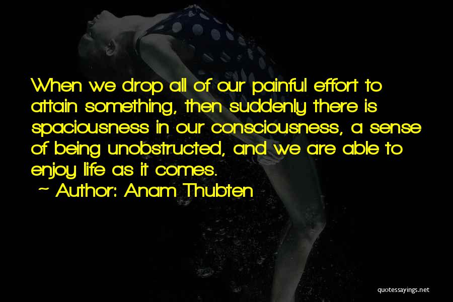 Anam Thubten Quotes: When We Drop All Of Our Painful Effort To Attain Something, Then Suddenly There Is Spaciousness In Our Consciousness, A