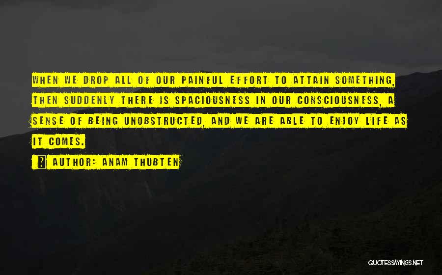 Anam Thubten Quotes: When We Drop All Of Our Painful Effort To Attain Something, Then Suddenly There Is Spaciousness In Our Consciousness, A