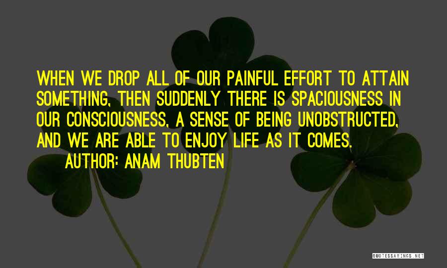 Anam Thubten Quotes: When We Drop All Of Our Painful Effort To Attain Something, Then Suddenly There Is Spaciousness In Our Consciousness, A