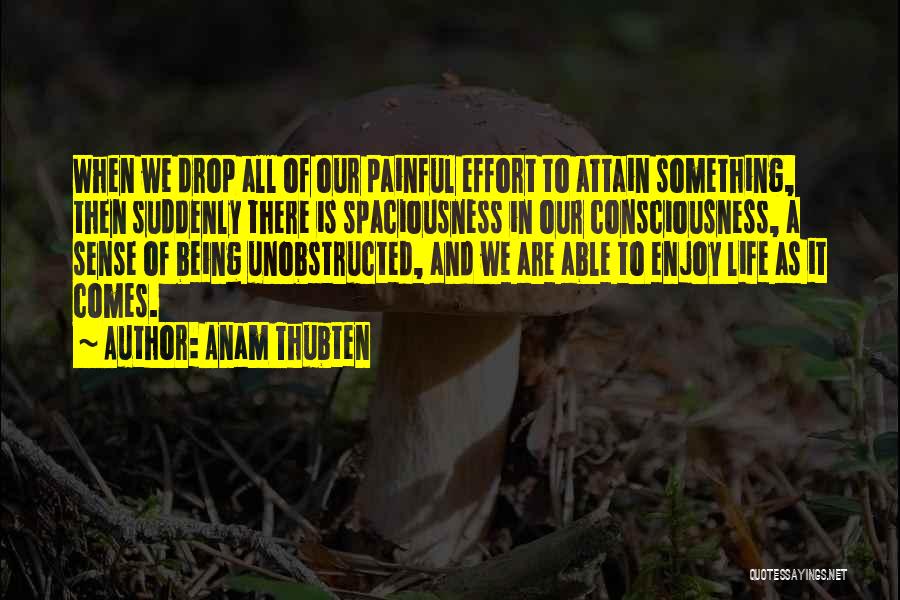 Anam Thubten Quotes: When We Drop All Of Our Painful Effort To Attain Something, Then Suddenly There Is Spaciousness In Our Consciousness, A