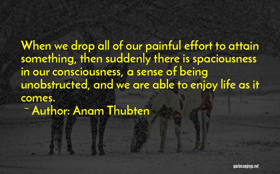 Anam Thubten Quotes: When We Drop All Of Our Painful Effort To Attain Something, Then Suddenly There Is Spaciousness In Our Consciousness, A