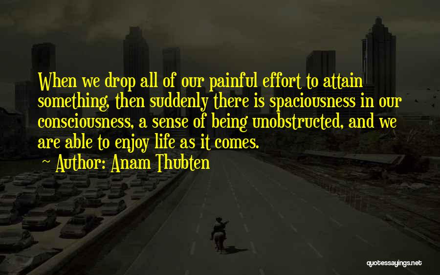 Anam Thubten Quotes: When We Drop All Of Our Painful Effort To Attain Something, Then Suddenly There Is Spaciousness In Our Consciousness, A