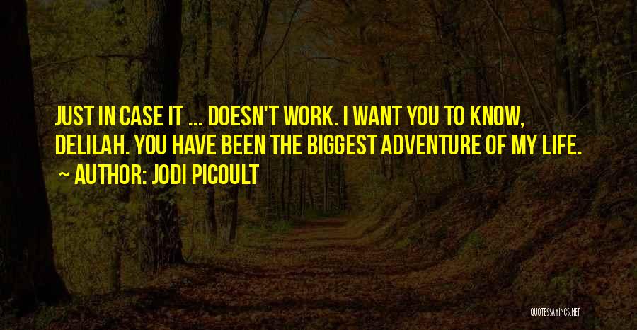 Jodi Picoult Quotes: Just In Case It ... Doesn't Work. I Want You To Know, Delilah. You Have Been The Biggest Adventure Of