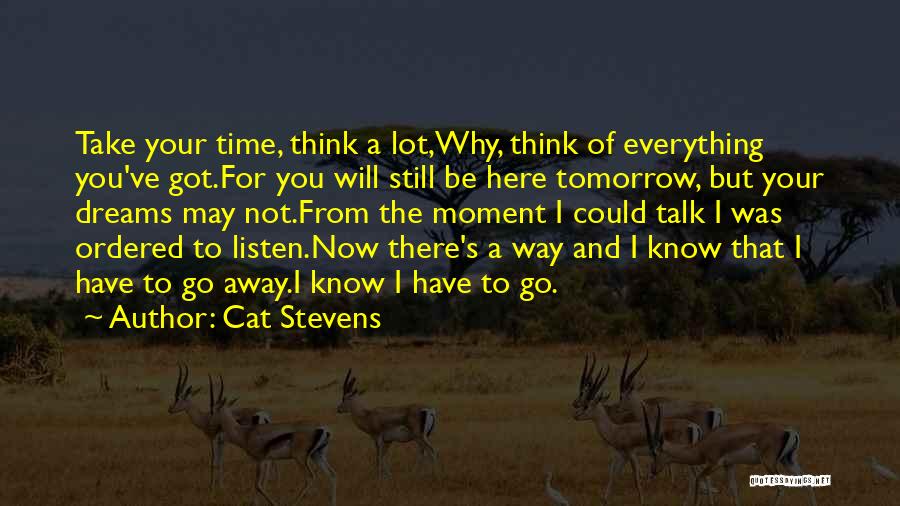 Cat Stevens Quotes: Take Your Time, Think A Lot,why, Think Of Everything You've Got.for You Will Still Be Here Tomorrow, But Your Dreams