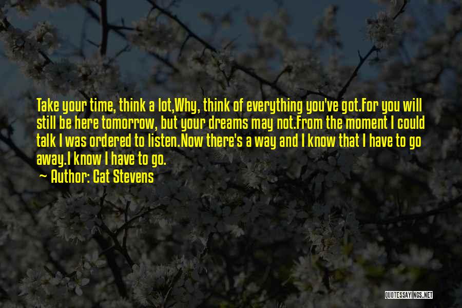 Cat Stevens Quotes: Take Your Time, Think A Lot,why, Think Of Everything You've Got.for You Will Still Be Here Tomorrow, But Your Dreams