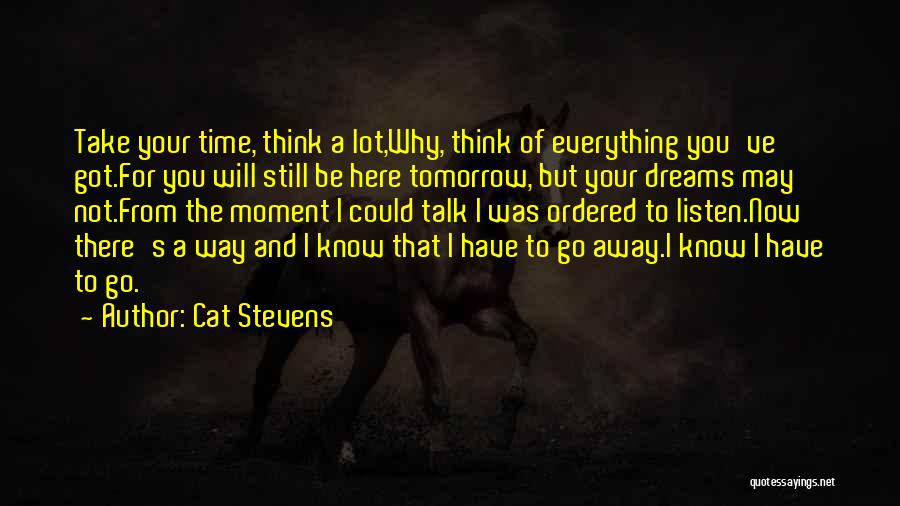 Cat Stevens Quotes: Take Your Time, Think A Lot,why, Think Of Everything You've Got.for You Will Still Be Here Tomorrow, But Your Dreams