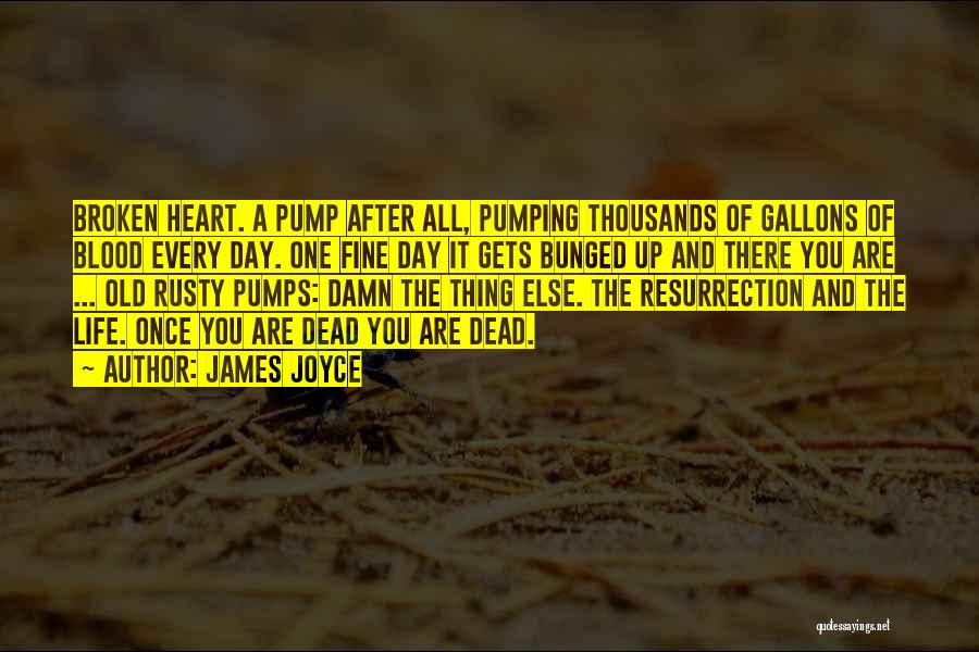 James Joyce Quotes: Broken Heart. A Pump After All, Pumping Thousands Of Gallons Of Blood Every Day. One Fine Day It Gets Bunged