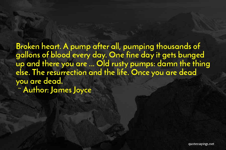 James Joyce Quotes: Broken Heart. A Pump After All, Pumping Thousands Of Gallons Of Blood Every Day. One Fine Day It Gets Bunged