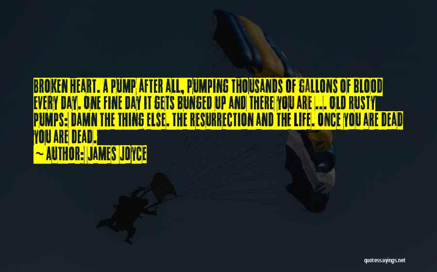 James Joyce Quotes: Broken Heart. A Pump After All, Pumping Thousands Of Gallons Of Blood Every Day. One Fine Day It Gets Bunged