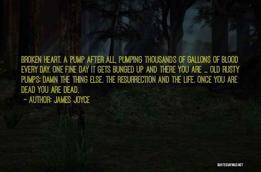 James Joyce Quotes: Broken Heart. A Pump After All, Pumping Thousands Of Gallons Of Blood Every Day. One Fine Day It Gets Bunged