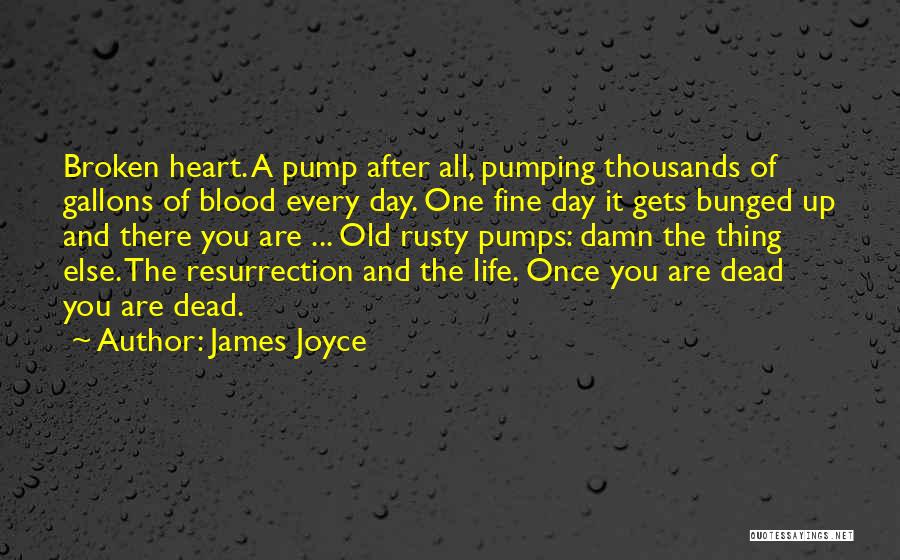 James Joyce Quotes: Broken Heart. A Pump After All, Pumping Thousands Of Gallons Of Blood Every Day. One Fine Day It Gets Bunged