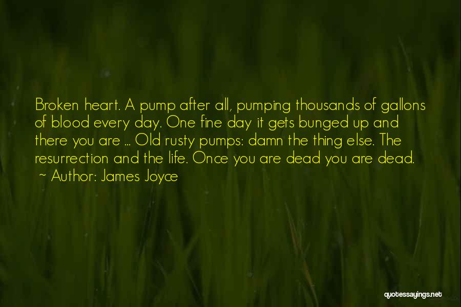 James Joyce Quotes: Broken Heart. A Pump After All, Pumping Thousands Of Gallons Of Blood Every Day. One Fine Day It Gets Bunged