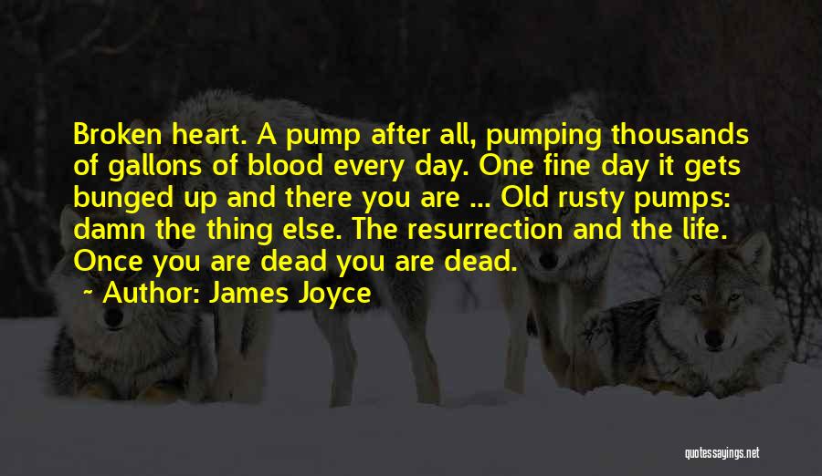 James Joyce Quotes: Broken Heart. A Pump After All, Pumping Thousands Of Gallons Of Blood Every Day. One Fine Day It Gets Bunged