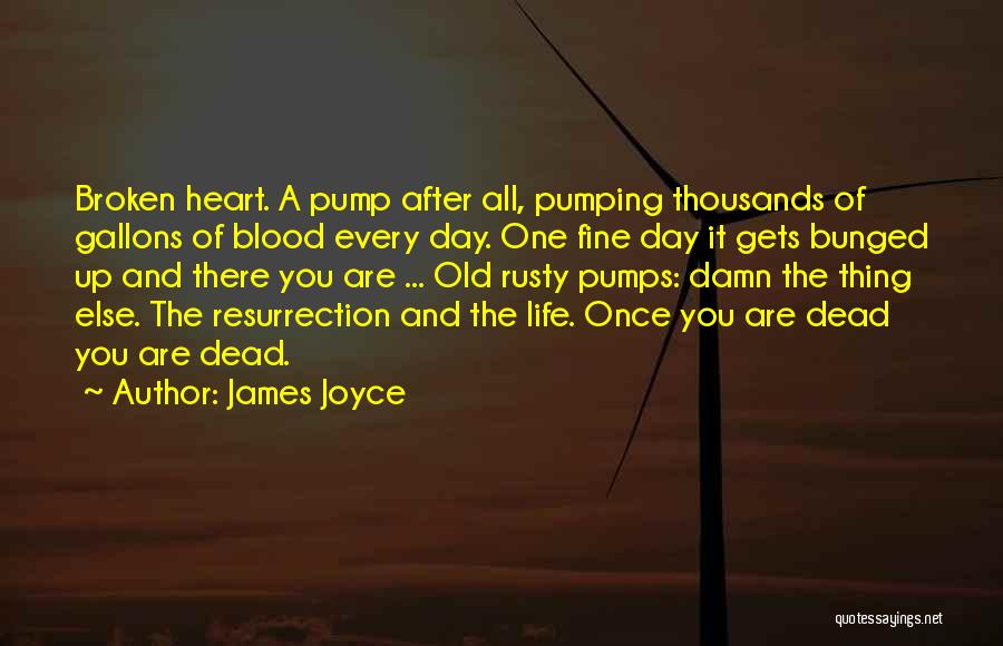 James Joyce Quotes: Broken Heart. A Pump After All, Pumping Thousands Of Gallons Of Blood Every Day. One Fine Day It Gets Bunged