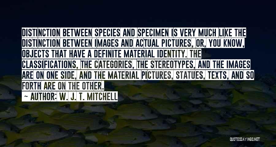 W. J. T. Mitchell Quotes: Distinction Between Species And Specimen Is Very Much Like The Distinction Between Images And Actual Pictures, Or, You Know, Objects