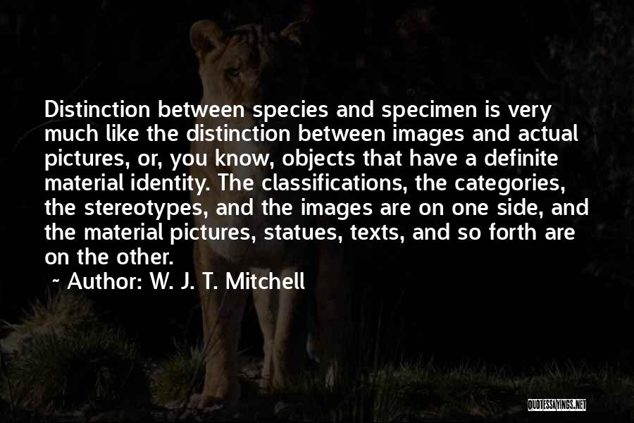 W. J. T. Mitchell Quotes: Distinction Between Species And Specimen Is Very Much Like The Distinction Between Images And Actual Pictures, Or, You Know, Objects