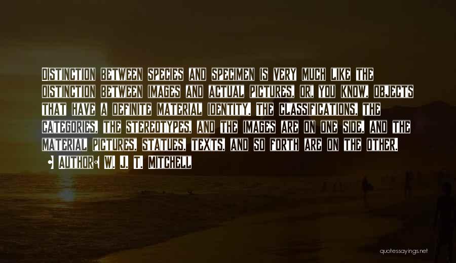 W. J. T. Mitchell Quotes: Distinction Between Species And Specimen Is Very Much Like The Distinction Between Images And Actual Pictures, Or, You Know, Objects