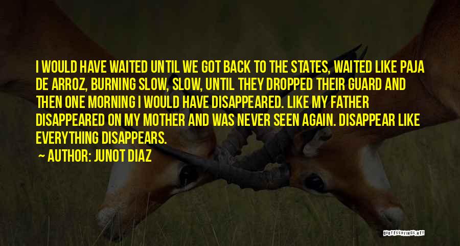 Junot Diaz Quotes: I Would Have Waited Until We Got Back To The States, Waited Like Paja De Arroz, Burning Slow, Slow, Until