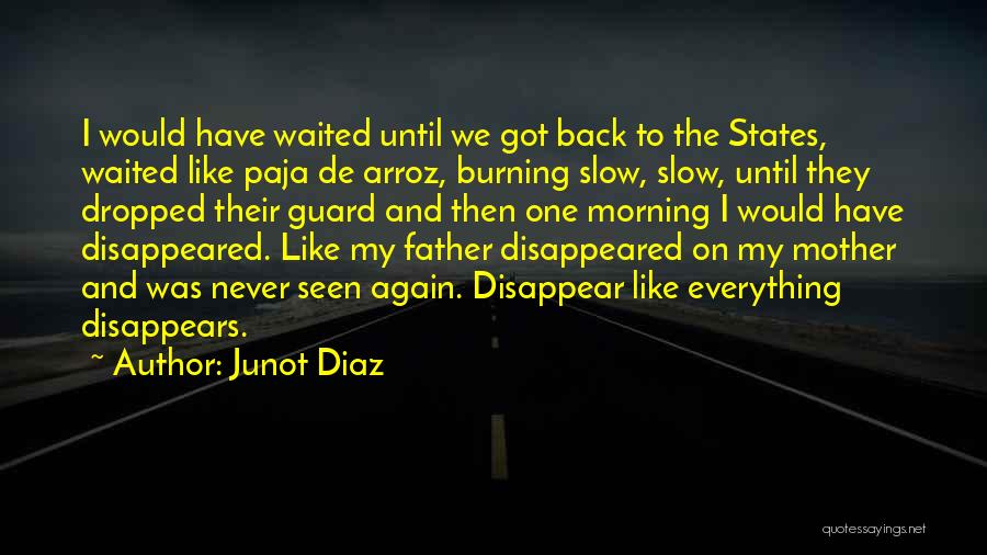 Junot Diaz Quotes: I Would Have Waited Until We Got Back To The States, Waited Like Paja De Arroz, Burning Slow, Slow, Until