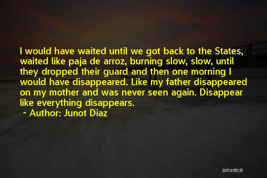 Junot Diaz Quotes: I Would Have Waited Until We Got Back To The States, Waited Like Paja De Arroz, Burning Slow, Slow, Until