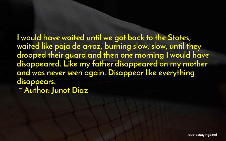 Junot Diaz Quotes: I Would Have Waited Until We Got Back To The States, Waited Like Paja De Arroz, Burning Slow, Slow, Until