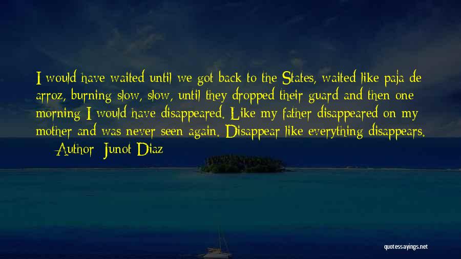 Junot Diaz Quotes: I Would Have Waited Until We Got Back To The States, Waited Like Paja De Arroz, Burning Slow, Slow, Until