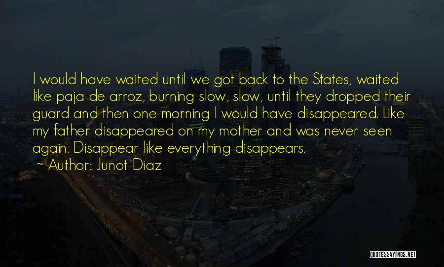 Junot Diaz Quotes: I Would Have Waited Until We Got Back To The States, Waited Like Paja De Arroz, Burning Slow, Slow, Until