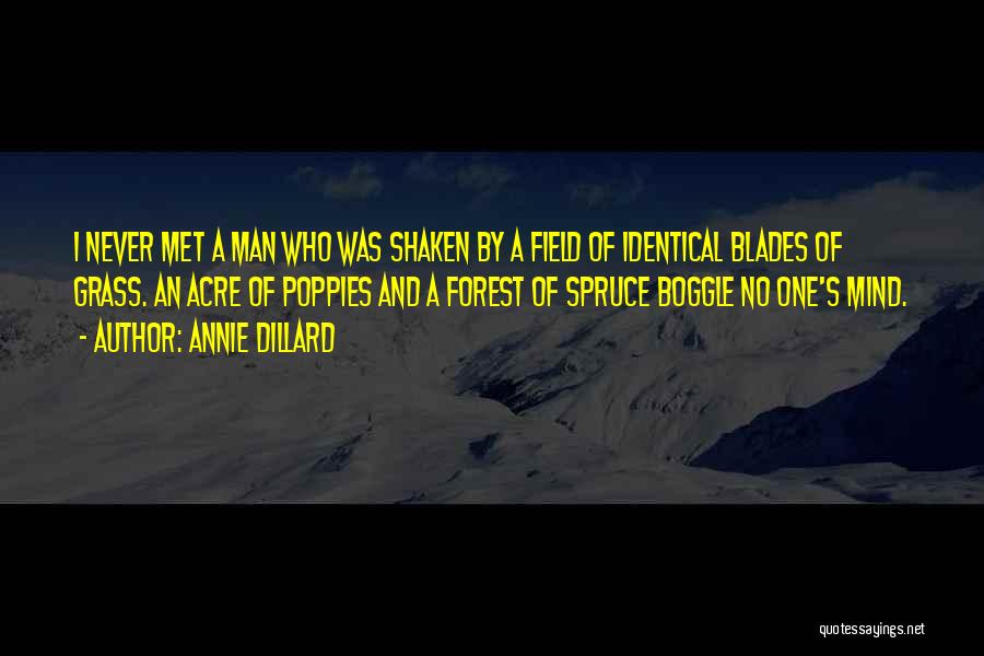 Annie Dillard Quotes: I Never Met A Man Who Was Shaken By A Field Of Identical Blades Of Grass. An Acre Of Poppies