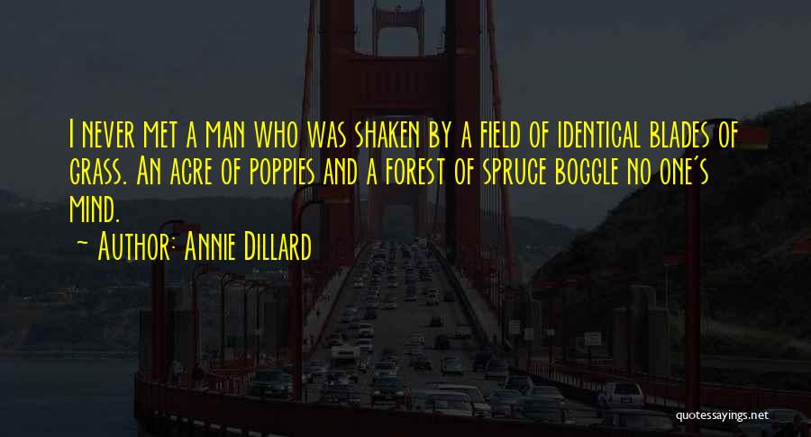Annie Dillard Quotes: I Never Met A Man Who Was Shaken By A Field Of Identical Blades Of Grass. An Acre Of Poppies