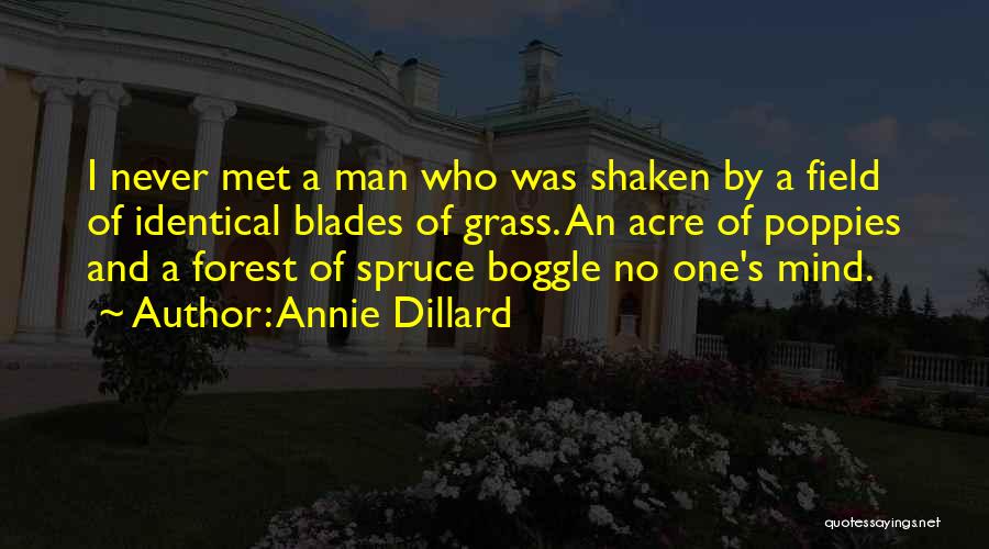 Annie Dillard Quotes: I Never Met A Man Who Was Shaken By A Field Of Identical Blades Of Grass. An Acre Of Poppies