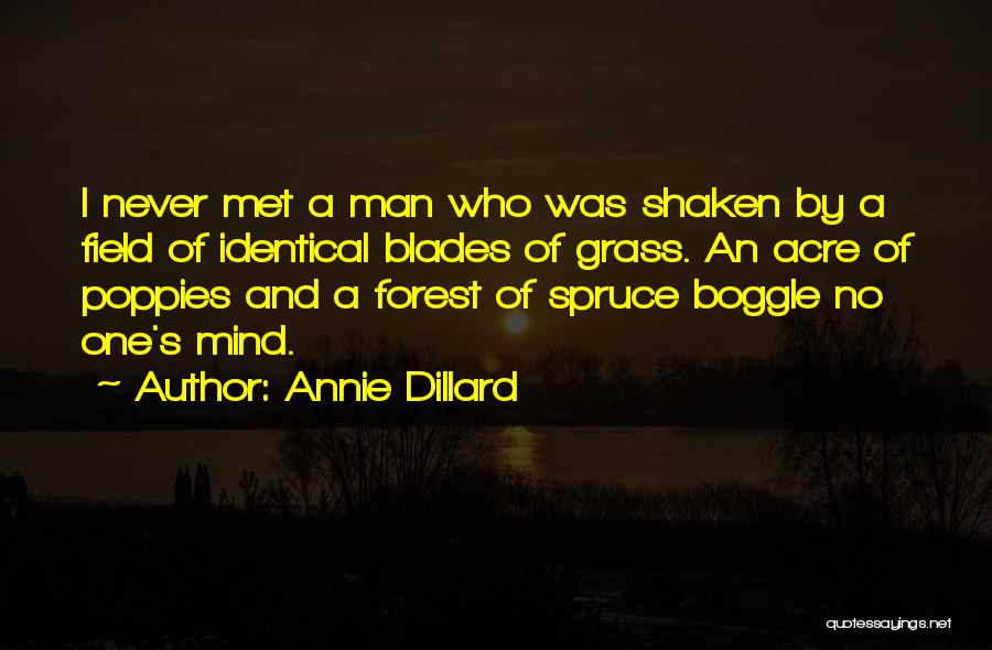 Annie Dillard Quotes: I Never Met A Man Who Was Shaken By A Field Of Identical Blades Of Grass. An Acre Of Poppies
