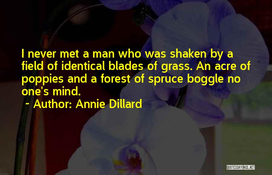 Annie Dillard Quotes: I Never Met A Man Who Was Shaken By A Field Of Identical Blades Of Grass. An Acre Of Poppies