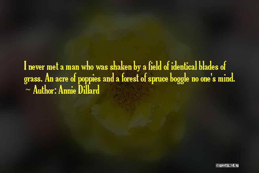 Annie Dillard Quotes: I Never Met A Man Who Was Shaken By A Field Of Identical Blades Of Grass. An Acre Of Poppies