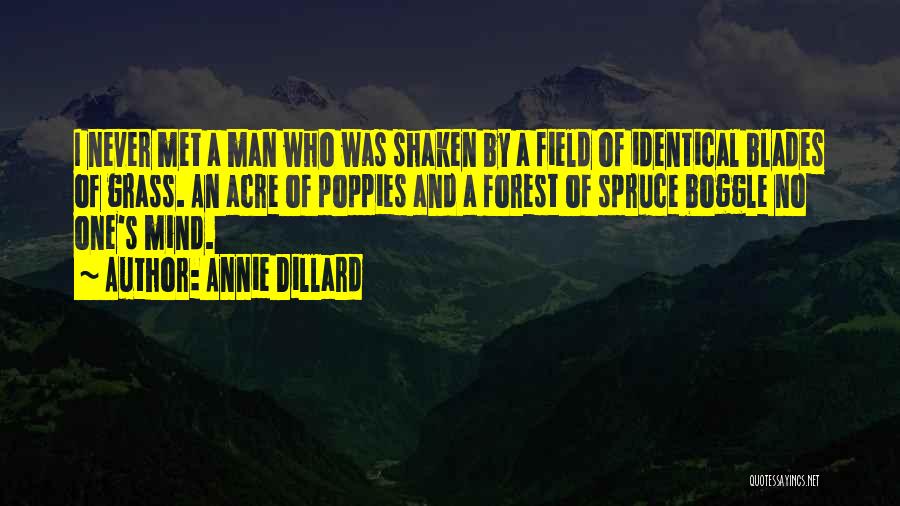 Annie Dillard Quotes: I Never Met A Man Who Was Shaken By A Field Of Identical Blades Of Grass. An Acre Of Poppies