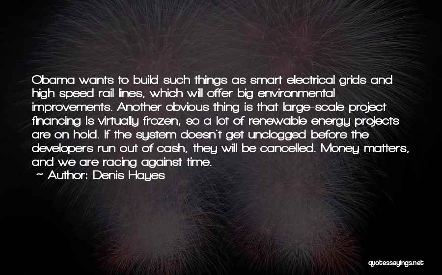 Denis Hayes Quotes: Obama Wants To Build Such Things As Smart Electrical Grids And High-speed Rail Lines, Which Will Offer Big Environmental Improvements.