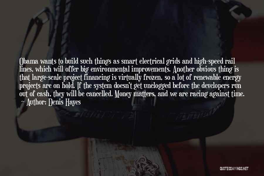 Denis Hayes Quotes: Obama Wants To Build Such Things As Smart Electrical Grids And High-speed Rail Lines, Which Will Offer Big Environmental Improvements.