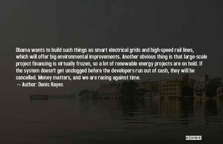 Denis Hayes Quotes: Obama Wants To Build Such Things As Smart Electrical Grids And High-speed Rail Lines, Which Will Offer Big Environmental Improvements.