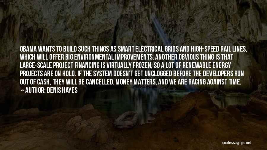 Denis Hayes Quotes: Obama Wants To Build Such Things As Smart Electrical Grids And High-speed Rail Lines, Which Will Offer Big Environmental Improvements.