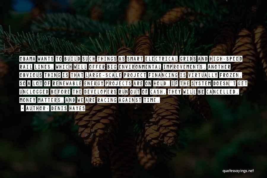 Denis Hayes Quotes: Obama Wants To Build Such Things As Smart Electrical Grids And High-speed Rail Lines, Which Will Offer Big Environmental Improvements.