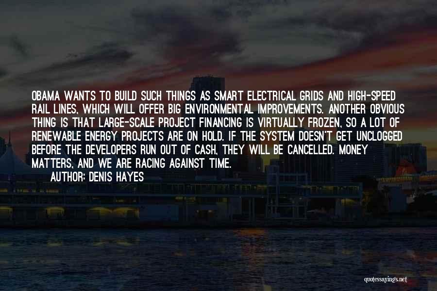 Denis Hayes Quotes: Obama Wants To Build Such Things As Smart Electrical Grids And High-speed Rail Lines, Which Will Offer Big Environmental Improvements.