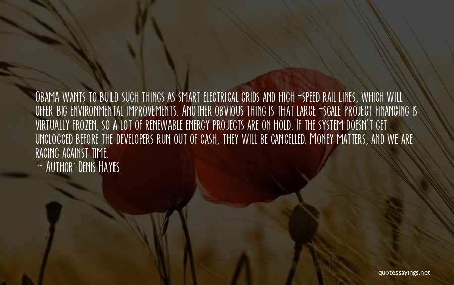 Denis Hayes Quotes: Obama Wants To Build Such Things As Smart Electrical Grids And High-speed Rail Lines, Which Will Offer Big Environmental Improvements.