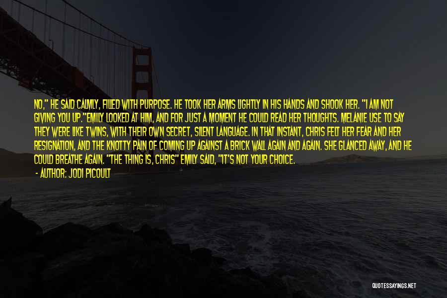 Jodi Picoult Quotes: No, He Said Calmly, Filled With Purpose. He Took Her Arms Lightly In His Hands And Shook Her. I Am