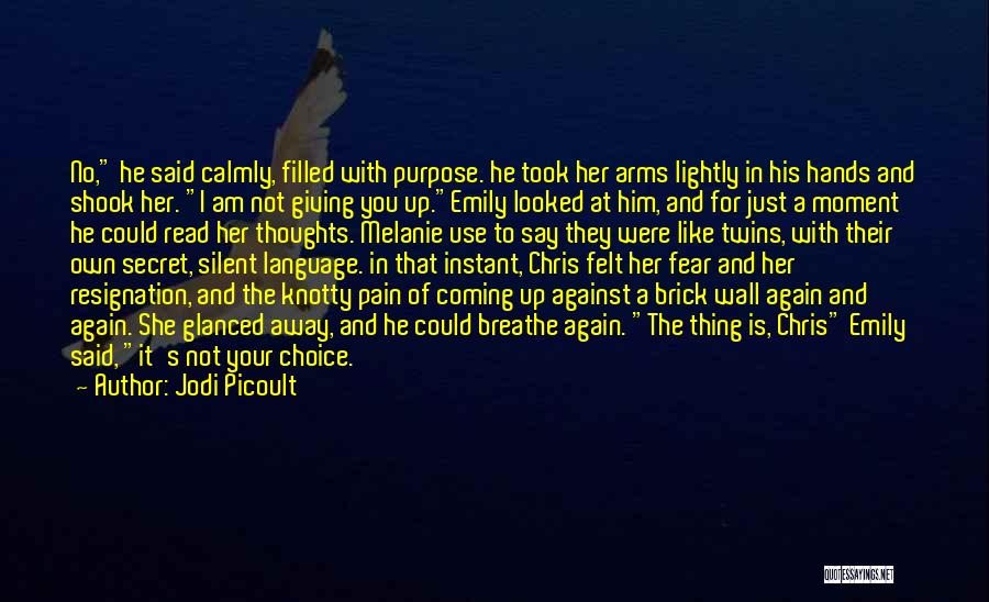 Jodi Picoult Quotes: No, He Said Calmly, Filled With Purpose. He Took Her Arms Lightly In His Hands And Shook Her. I Am