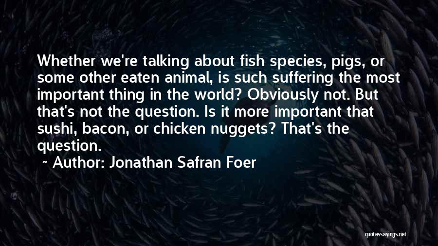 Jonathan Safran Foer Quotes: Whether We're Talking About Fish Species, Pigs, Or Some Other Eaten Animal, Is Such Suffering The Most Important Thing In