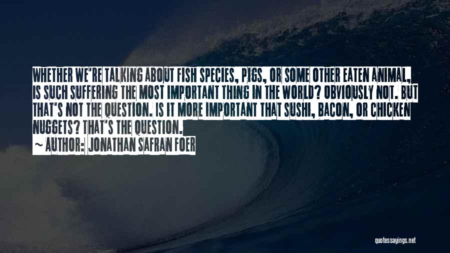 Jonathan Safran Foer Quotes: Whether We're Talking About Fish Species, Pigs, Or Some Other Eaten Animal, Is Such Suffering The Most Important Thing In