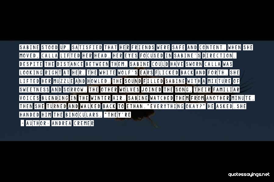 Andrea Cremer Quotes: Sabine Stood Up, Satisfied That Her Friends Were Safe And Content. When She Moved, Calla Lifted Her Head. Her Eyes