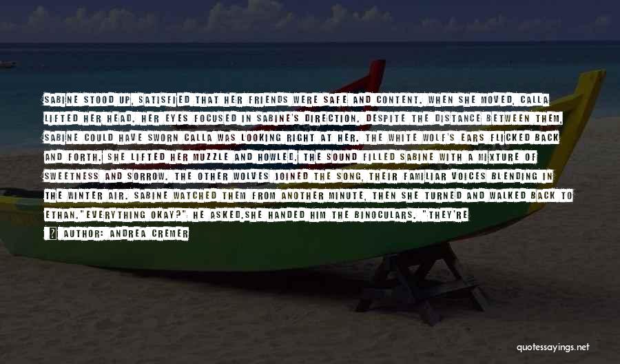 Andrea Cremer Quotes: Sabine Stood Up, Satisfied That Her Friends Were Safe And Content. When She Moved, Calla Lifted Her Head. Her Eyes