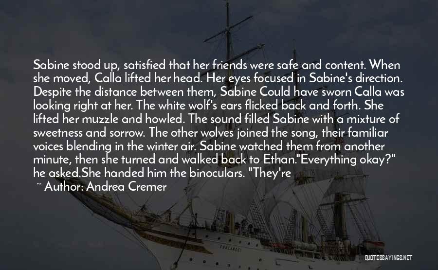 Andrea Cremer Quotes: Sabine Stood Up, Satisfied That Her Friends Were Safe And Content. When She Moved, Calla Lifted Her Head. Her Eyes