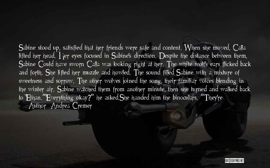 Andrea Cremer Quotes: Sabine Stood Up, Satisfied That Her Friends Were Safe And Content. When She Moved, Calla Lifted Her Head. Her Eyes